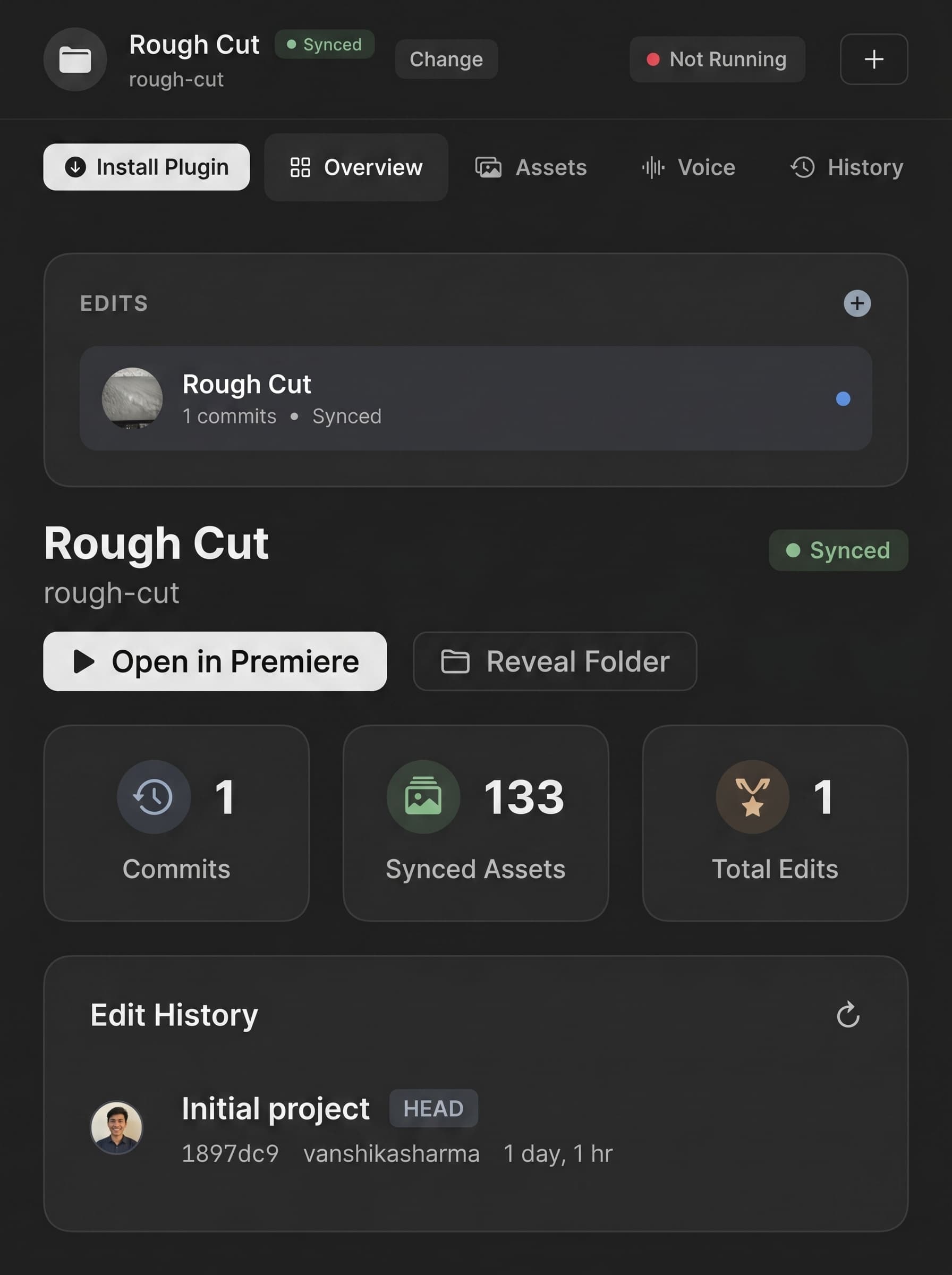 LightsKiddo plugin running inside Adobe Premiere Pro